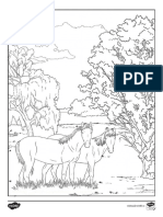 Delta Dunarii - Pagini de Colorat PDF