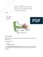 Curs 10 - Patologia Inflamatorie Acuta Si Cronica A Urechii Externe Si Medii PDF