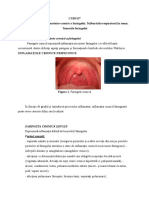 Curs 07 - Patologia Infecto-Inflamatorie Cronica A Faringelui. Tulburarile Respiratorii in Somn. Tumorile Faringelui