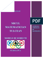 Micul Matematician Tulcean PDF