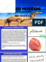 Professeur Fousseni Kone PDF