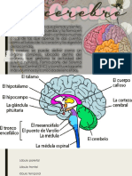 El Cerebro Maqueta PDF