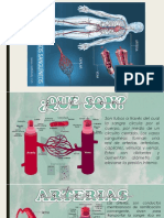 Vasos Sanguineos PDF