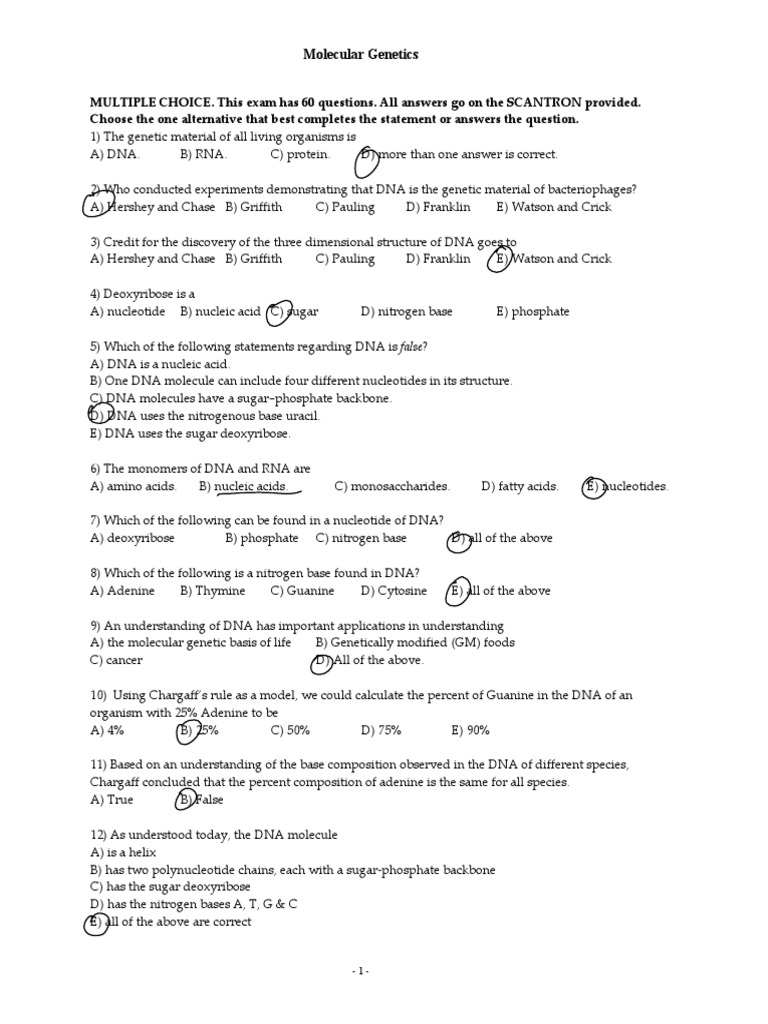 molecular genetics MCQ (2).pdf | PDF