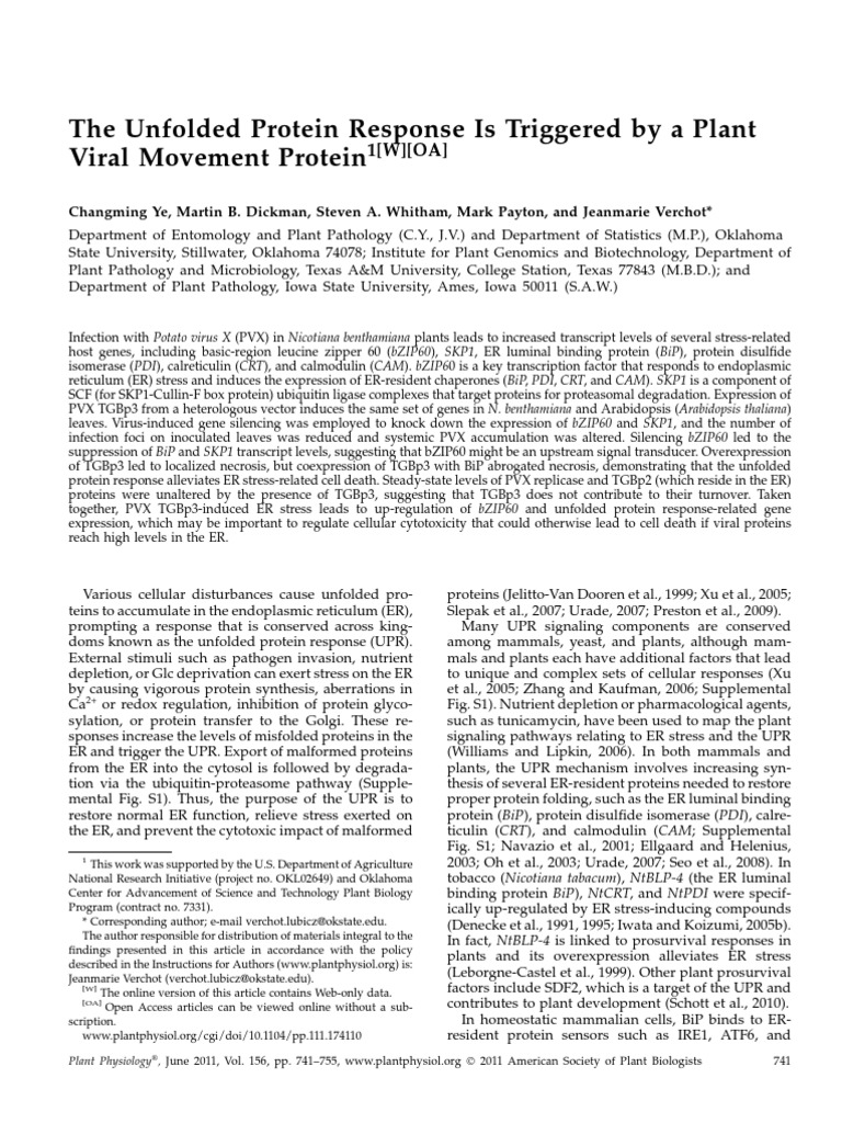 The Unfolded Protein Response Is Triggered by A Plant Viral Movement ...