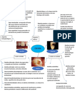 Caries Mapa Mental