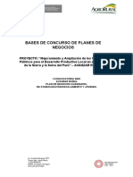 Bases para El Acceso A Recursos Públicos A Través de PN 2023 PDF