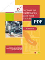 Cogen PDF