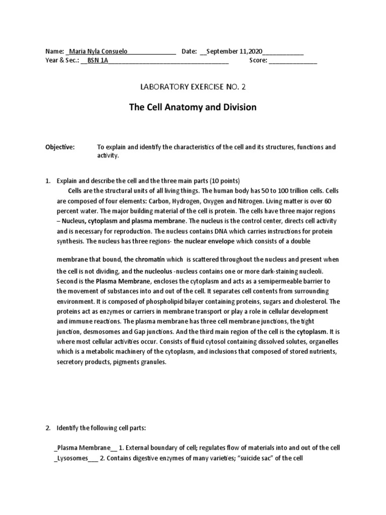 Laboratory exercise 2 pdf