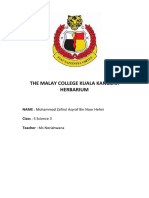 Report Herbarium PDF