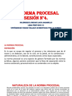 Ppt-N°4-La Norma Procesal PDF
