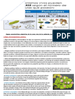 Plancha Nodos 26-09 PDF