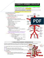 Acv Isquemico PDF