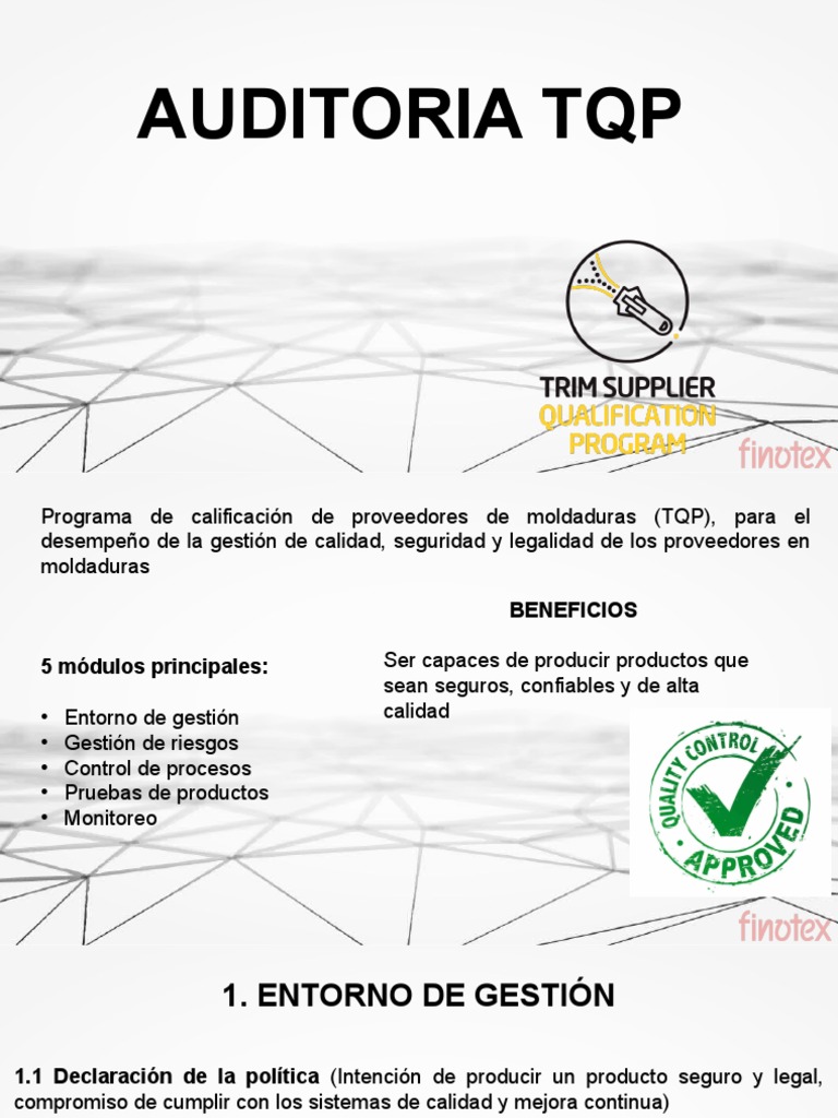 Auditoría TQP: Gestión de Proveedores | PDF | Informática | Tecnología