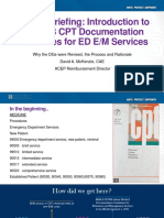 Special Briefing Intro To The 2023 Documentation Guidelines DMCK Final Sent PDF