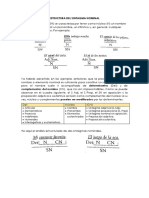 Estructura Del Sintagma Nominal PDF