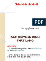 7. Thần Kinh chi dưới Đám rối thắt lưng PDF