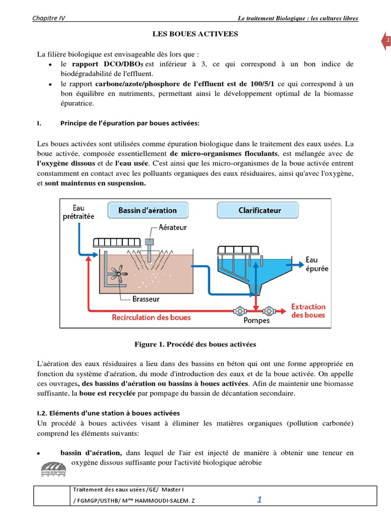 Cultures libres (boues activées) - Degremont®