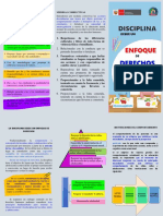 Tritico La Disciplina Desde Un Enfoque de Derechos PDF