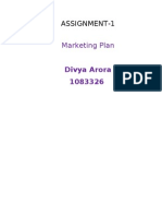 Divya's Marketing Plan
