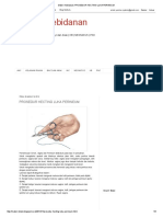 Prosedur Hecting Luka Perineum PDF