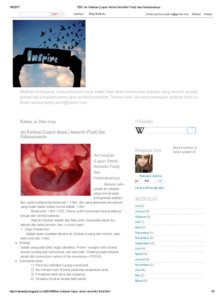 TEN Air Ketuban (Liquor Amnii Amniotic Fluid) Dan Kelainanannya PDF