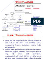 Alkaloid Nam P2-K33