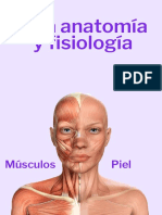 Anatomía y Fisiología Músculos