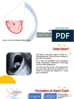Aik 70084398 - Embryological Development of Fetal Heart