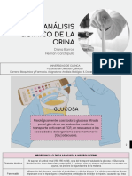 GUÍA 2 - Análisis Químico de La Orina - Barros - Carchipulla PDF