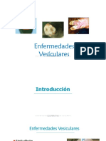 Enfermedades Infeccionas Virales Porcinos 1-3-128 PDF