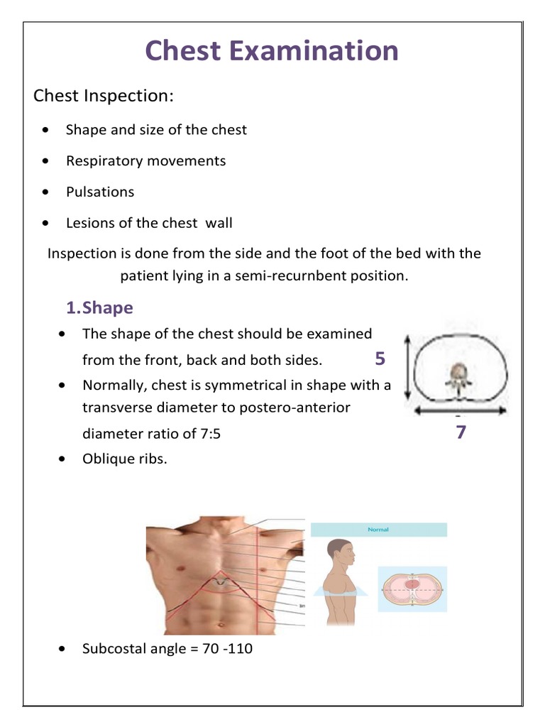 shape of chest, inspection