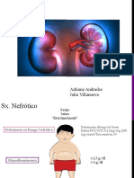 Protocolo SNI (2) Definitivo