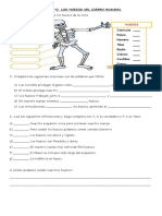 FICHA Nº2 Huesos y Articulaciones Del Cuerpo Humano. Mejorada