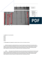 PIPETAS GRADUADAS. Dani Kamalov PDF