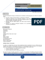 GUIA DE MORFOLOGIA CELULAR.pdf