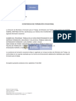 Constancia - Formacion - Vocacional - Victor Gabriel Martinez PDF