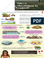 SEMANA 2 Infografía PDF