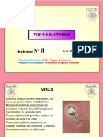 Virus PDF