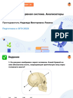 Био ОГЭ - 34, Вегетативная нервная система. Анализаторы PDF