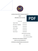 Laporan Kehamilan Dan Laktasi Kelompok 6