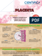 Estacion 1 PDF