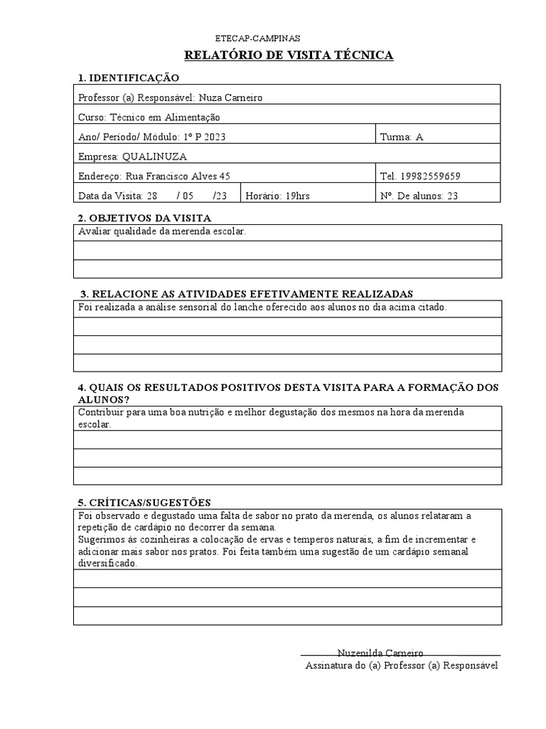 6-Relatório de Visita Técnica | PDF