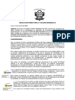 Resolucion Directorial PDF