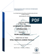 Tesina Publicidad Engañosa PDF