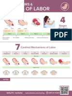Nursing CS Stages-of-Labor PDF