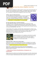 Marketing Como Criar, Ativar e Espalhar o seu Vírus Pessoal