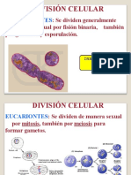 Ciclo Celular - Centro de Estudios Lic Vilma Bretillot
