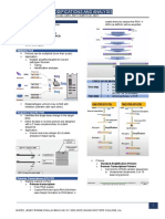 MOLBIO LAB 3.2 PCR Modifications and Analysis PDF