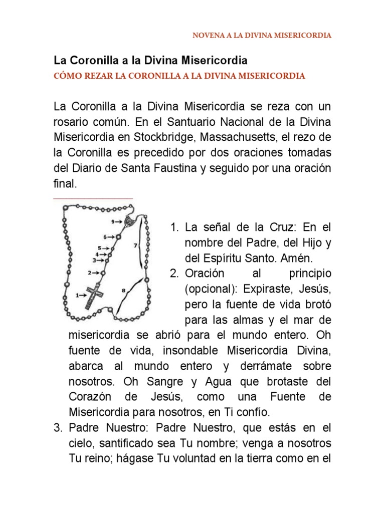 Cómo Rezar la Coronilla de la Misericordia | PDF